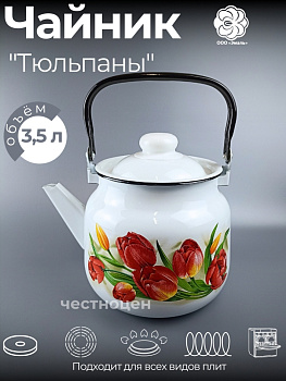 Чайник для плиты 3,5л 01-2713/4 Тюльпаны