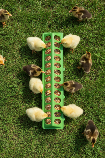 Кормушка лотковая наборная/ п/э