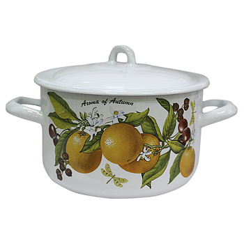 Кастрюля 2,9л С-16111/4Э  "Фруктовая фантазия" 
