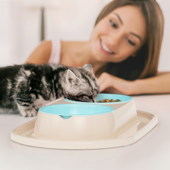 Миска для животных   0,3л двойная на подставке какао М8495 