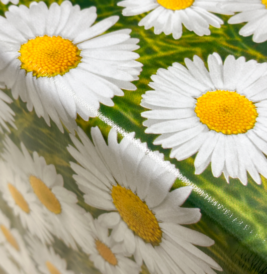 Клеенка Полли 140 см Маргаритки 13903