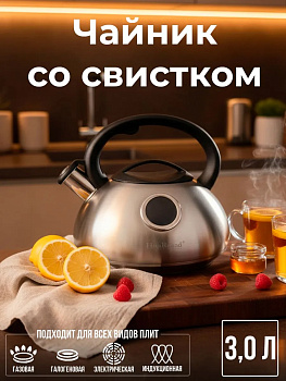 Чайник нерж. OLS-HR734-5