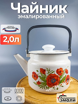 Чайник для плиты 2,0 л. (Июнь) (С-2710П2/4Жм)