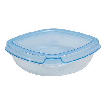 Контейнер- бокс V=250гр Бр. 0. 14.